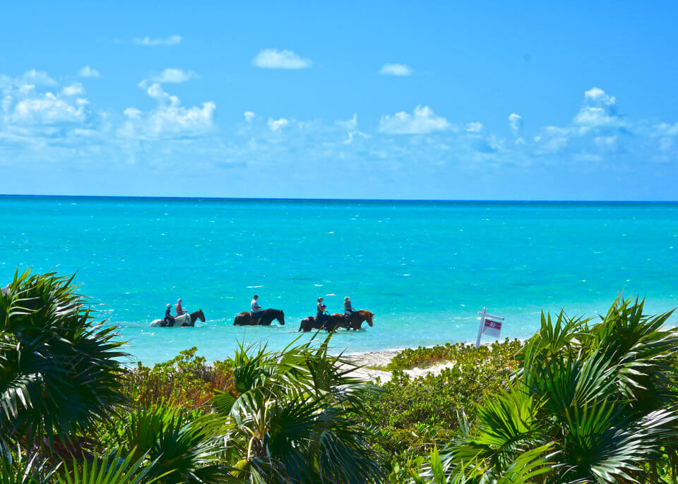 provo island buggy tour