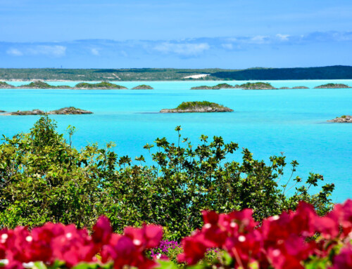13 Things to know before visiting Turks and Caicos