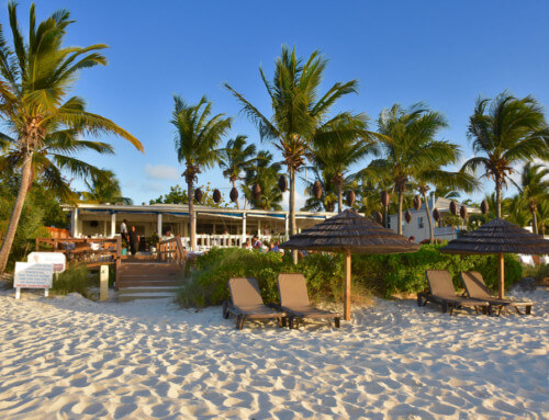 12 Restaurants in Providenciales, Turks and Caicos