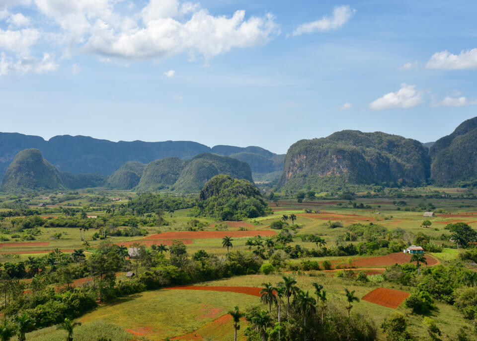 Vignales, Cuba