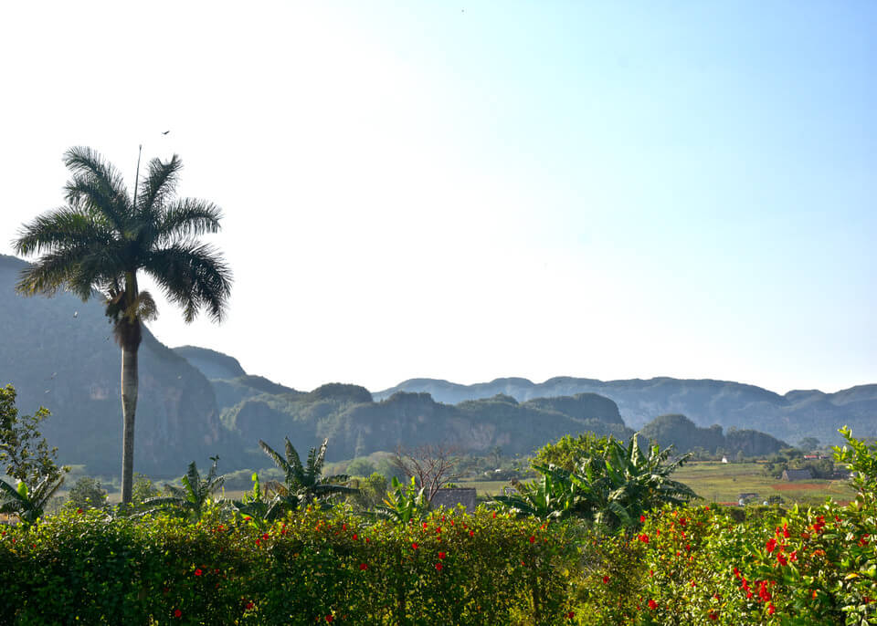 Vignales, Cuba