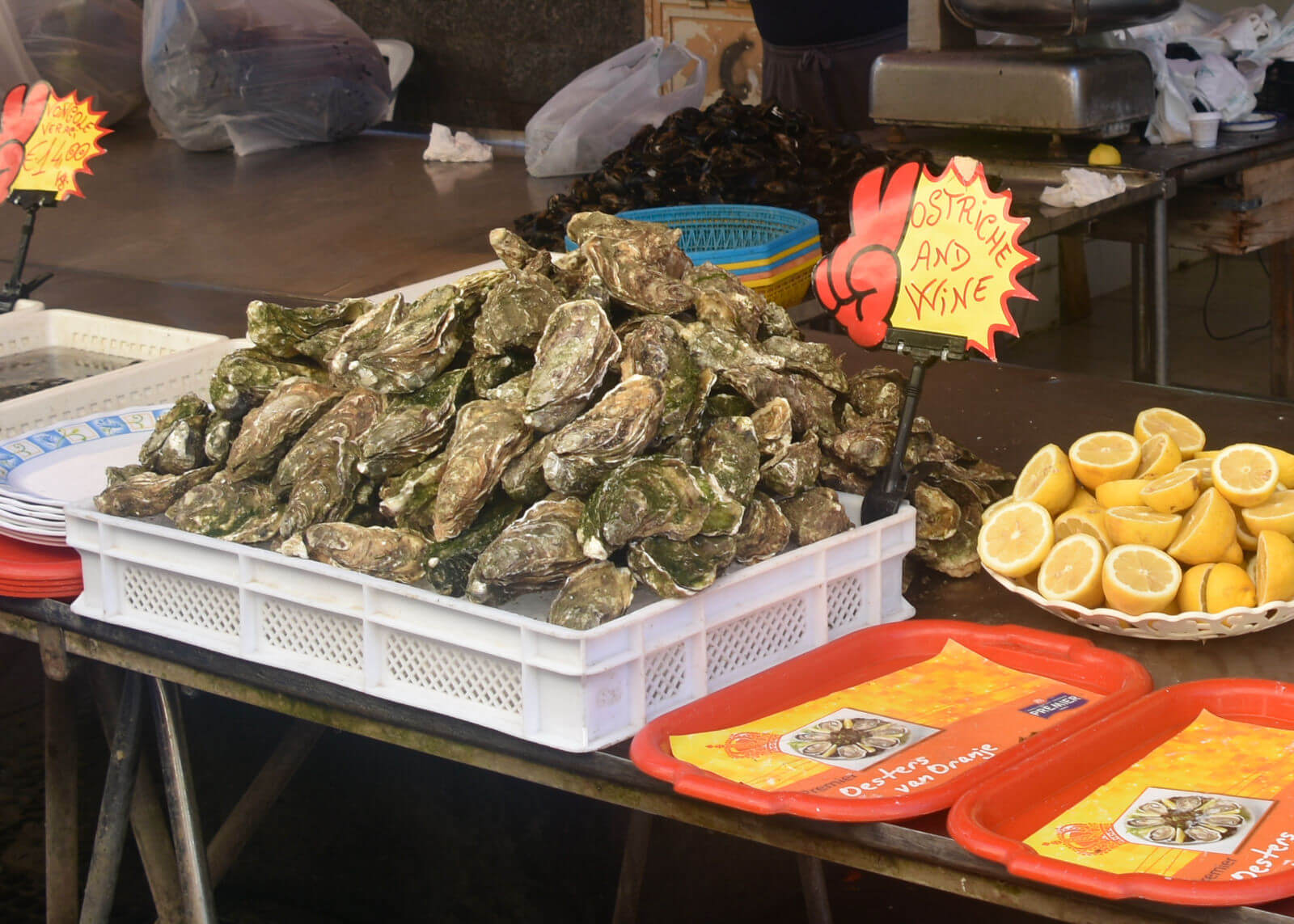 Oysters sold in the market