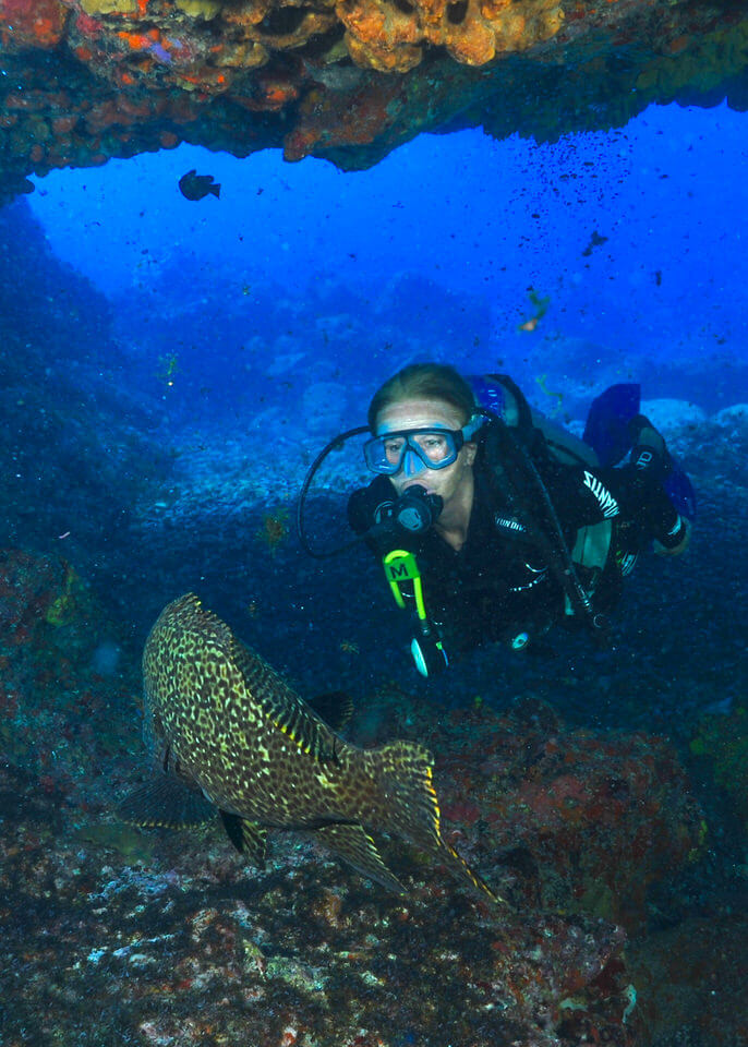 Scuba diving in Fernando de Noronha