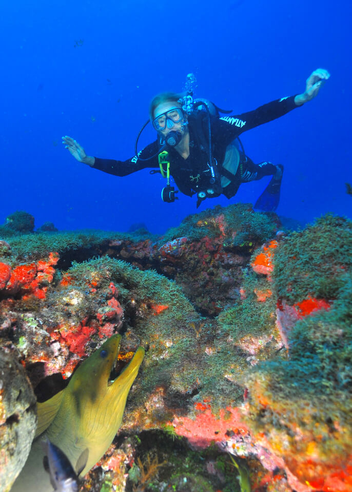Scuba diving in Fernando de Noronha