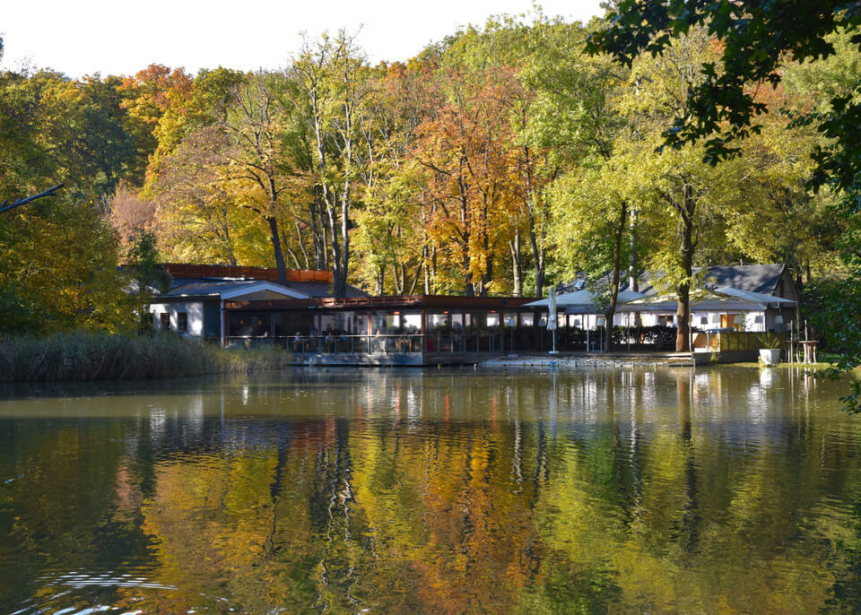 Klee am Hansl Teich, Vienna