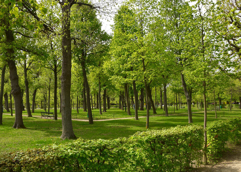 Park in Schoenbrunn