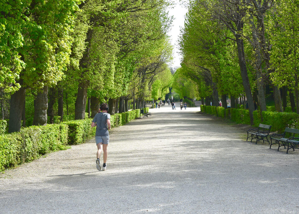 Park in Schoenbrunn