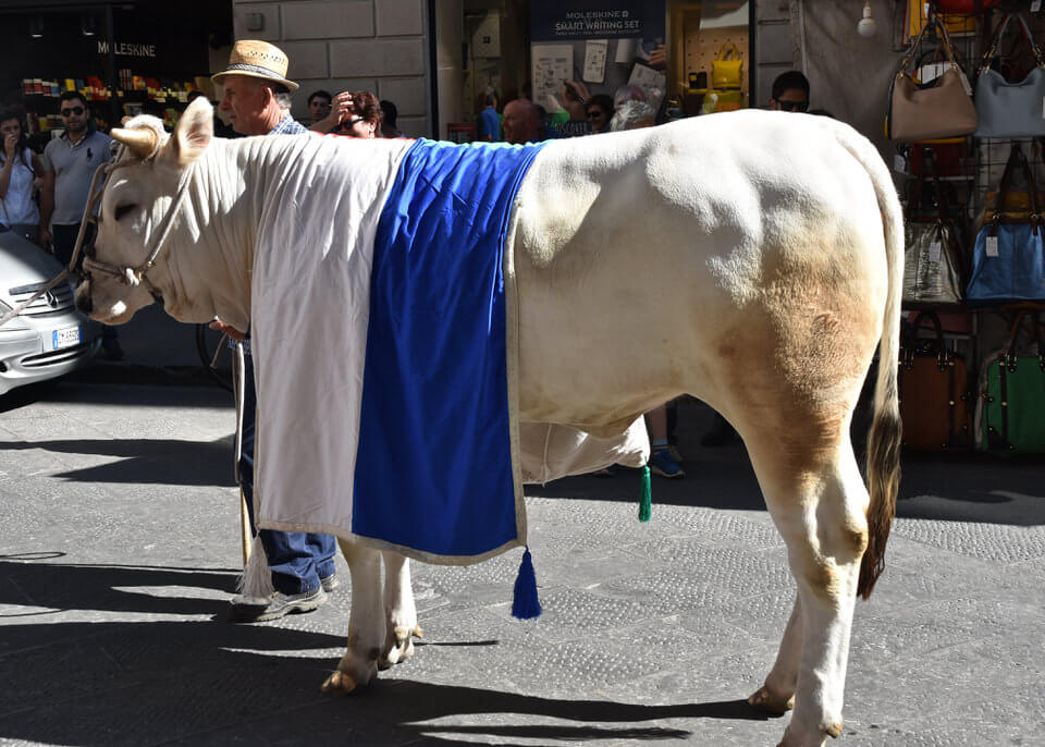 calcio storico