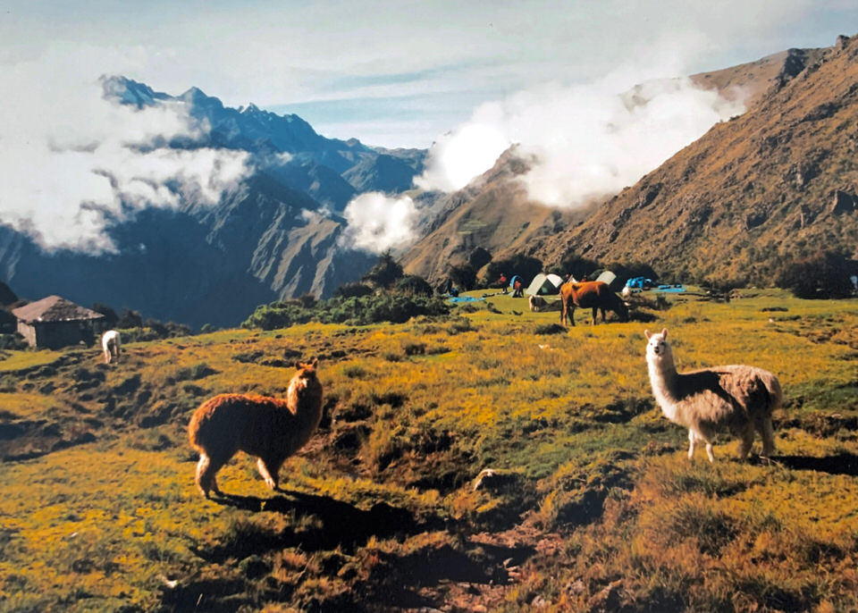 Camp at Phuyupatamarka