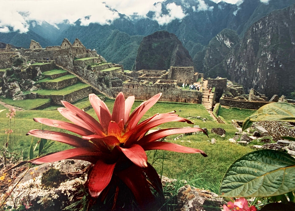 Machu Picchu