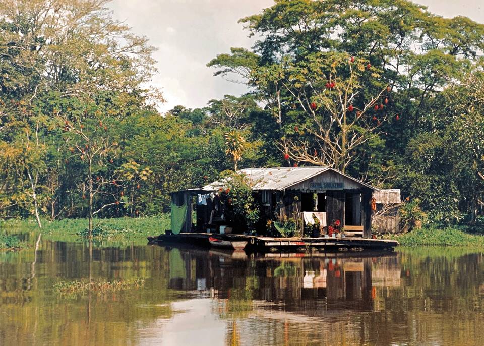 Indigenous house in the Amazon rainforest