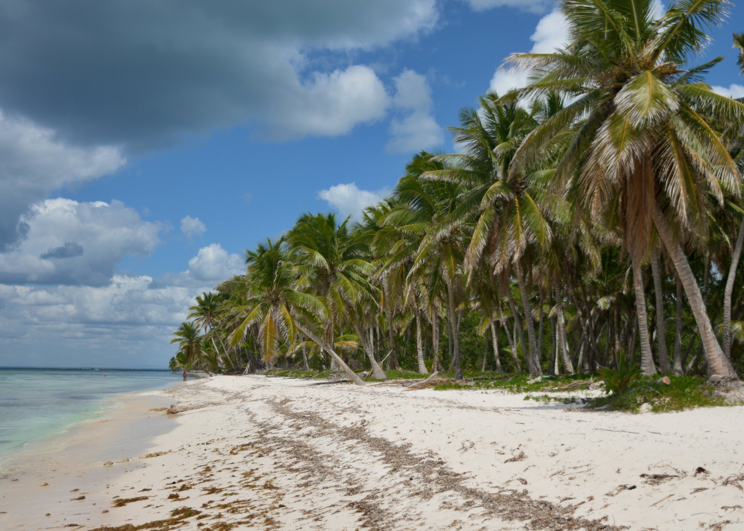 Deserted beach of Saona Island